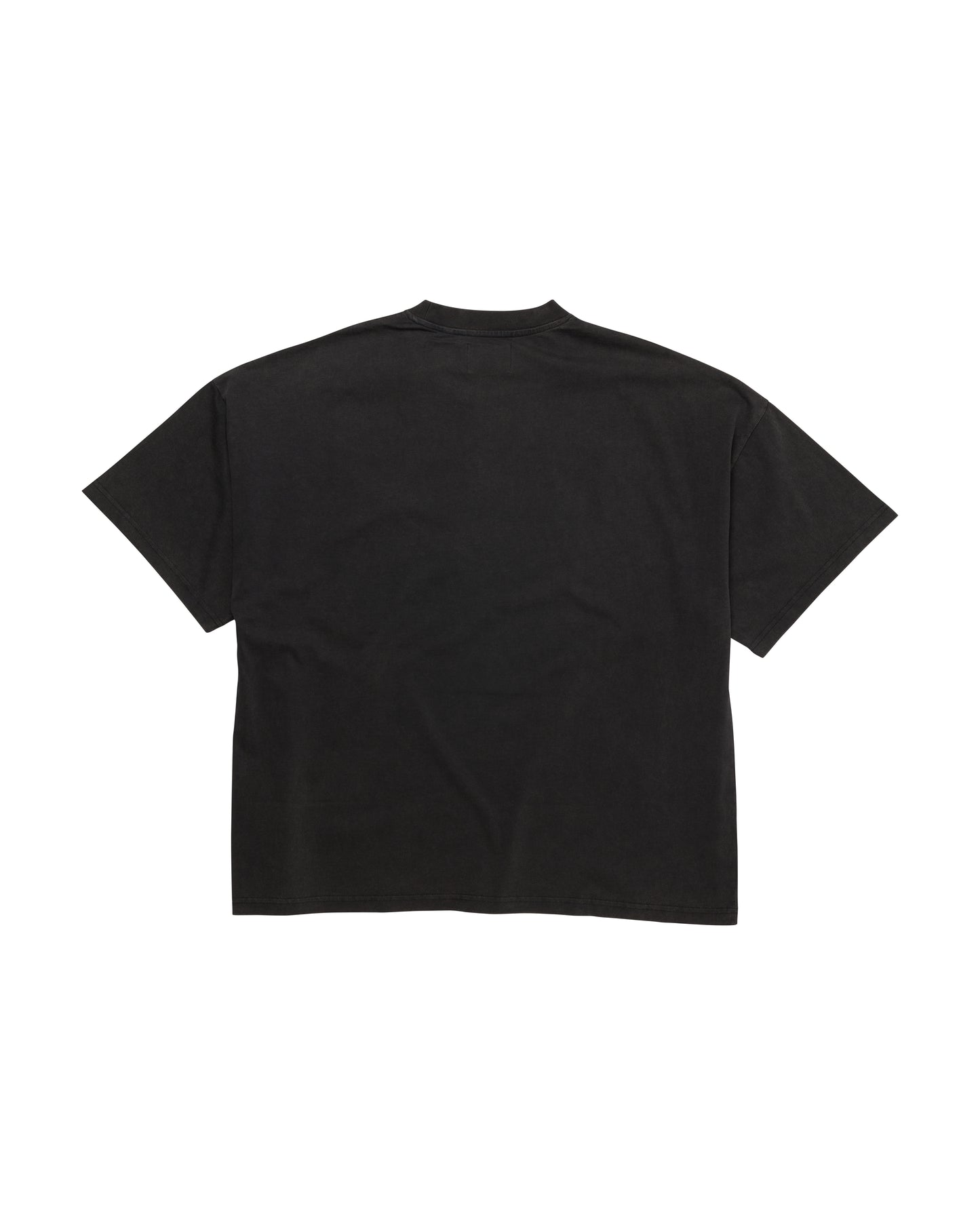 MASTERS OF THE UNION TEE - VINTAGE BLACK